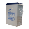 RITAR EV SERIES EV6-400(RA6-400EV) Deep Cycle