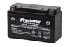YT7B-4 12V Sealed Predator Motorcycle Battery YT7B-4 / MB7U /  YTZ7B-BS