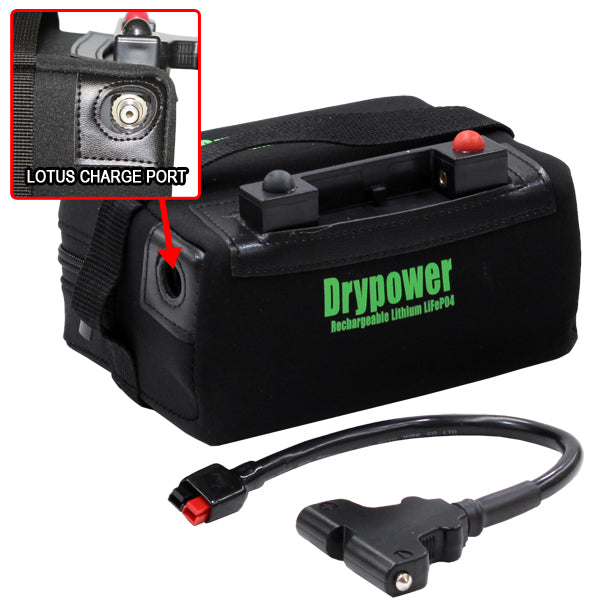 Drypower 12.8V 18Ah lithium iron phosphate (LiFePO4) rechargeable battery & charger kit for use with golf buggies