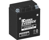 YTX14AH-BS Century EverRide Hi Performance AGM Batteries