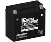 YTX20HL-BS Hi Performance AGM Century EverRide Hi Performance AGM Batteries