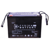 EV12-100 Fusion Electric Vehicle 12V 100AH Deep Cycle Battery