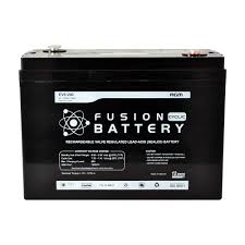 EV6-200 Fusion Electric Vehicle 6V 200AH Deep Cycle Battery
