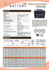 EV6-200 Fusion Electric Vehicle 6V 200AH Deep Cycle Battery