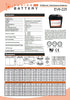 EV6-225 Fusion Electric Vehicle 6V 225AH Deep Cycle Battery
