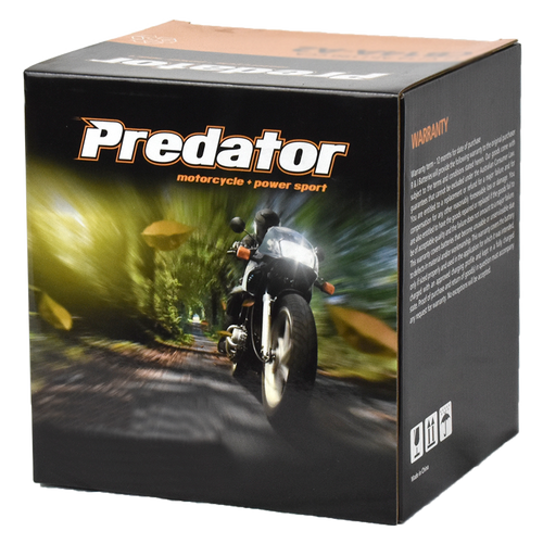 YIX30L-PW ( ETX30LA)  12V Sealed Predator Motorcycle Battery YIX30L-PW, YTX30L-BS, MX30-3, MBTX30U, ETX30L, ETX30LA, GYZ32HL, YB30L-B, YB30CL-B