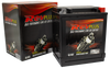REVPLUS STZ30-3-PW  VRLA HEAVY DUTY BATTERY.